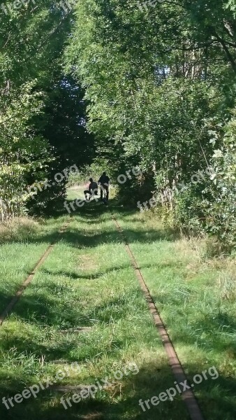 Late Summer Trolley Skåne Forest Park