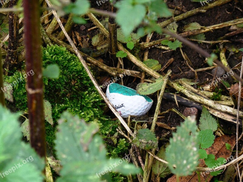 Golf Ball Thicket Leaves Forest Art