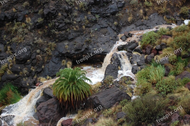 Water Rain Nature Waterfall Water Stream