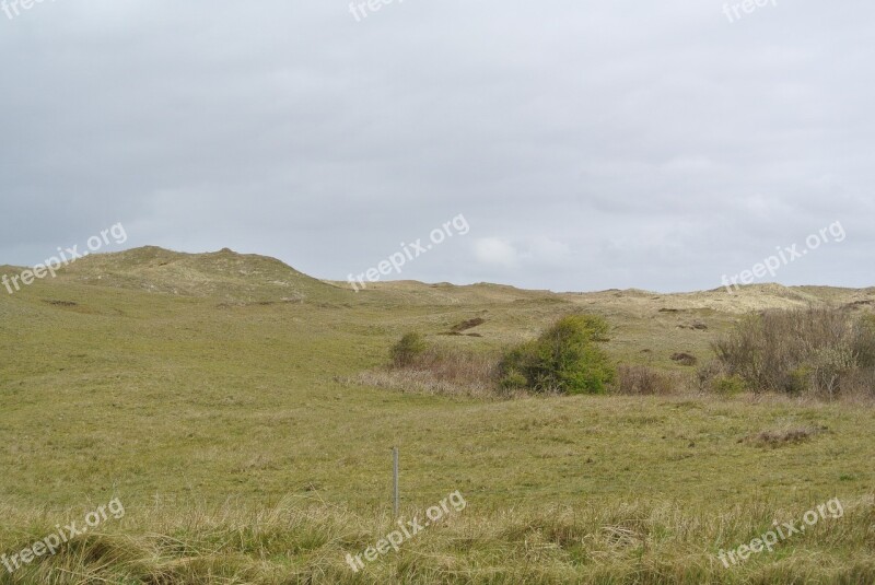 Texel Dunes Meadow Landscape Vacations