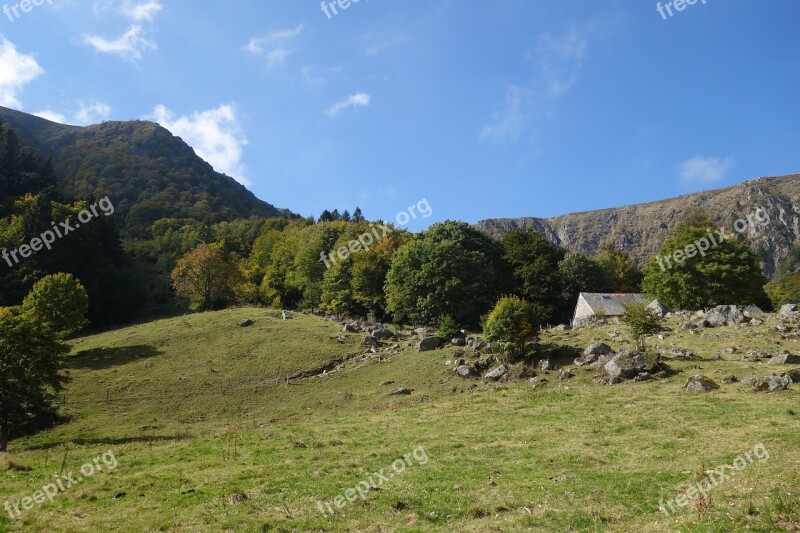 Mountain Landscape Nature Wood Forest