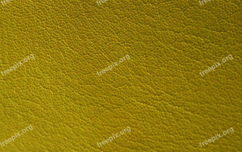 Leather Yellow Greenish Texture Structure