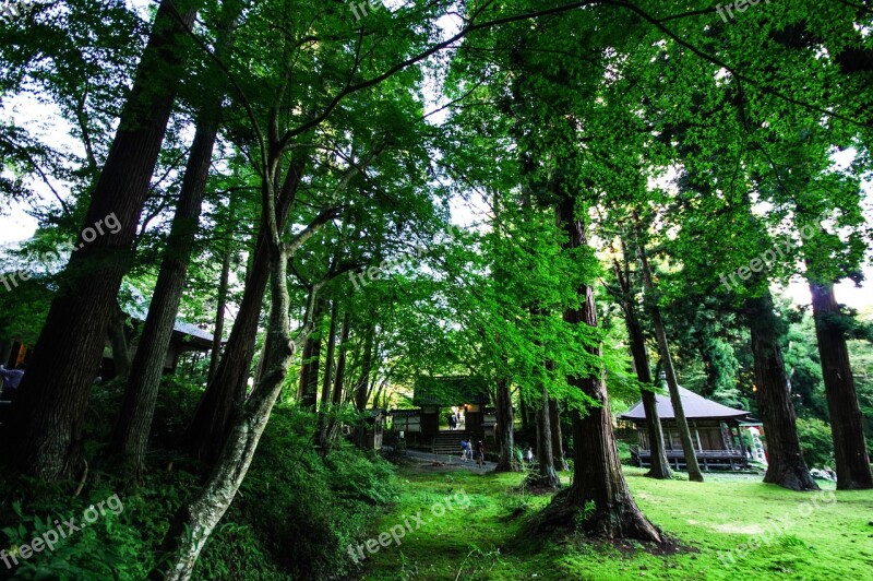 Mysterious Mountain Japan Natural Light