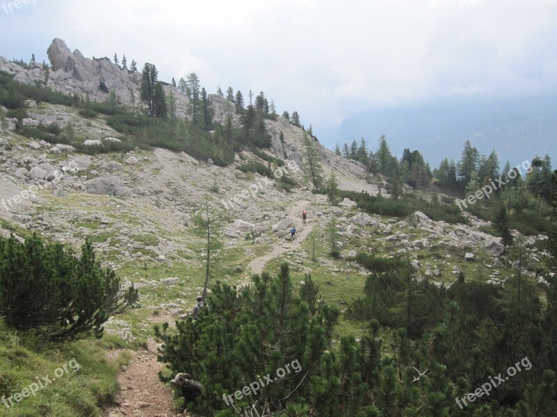 Dolomites Mountains Landscape Nature Forest