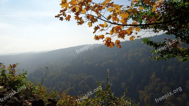 The Founding Fathers Poland The National Park Landscape Nature