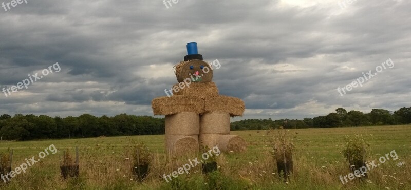 Landscape Brittany France Nature Field