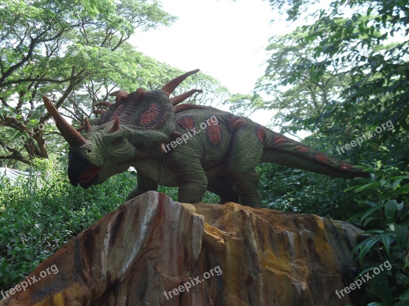 Dinosaur Triceratops Jurassic Reptile Exposition