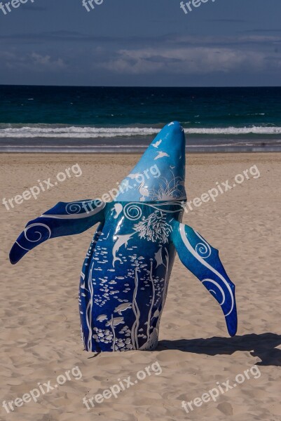 Whale Model Blue White Pattern