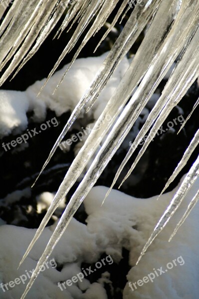 Icicle Ice Winter Cold Snow