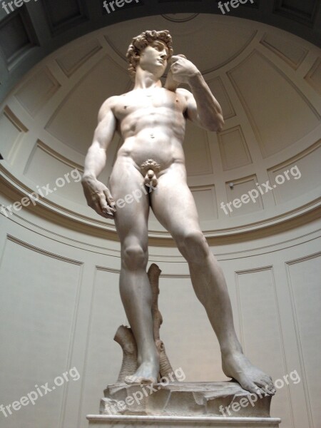 David Florence Tuscany Michelangelo Free Photos