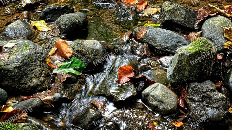 Stones Bach Water Nature Close Up