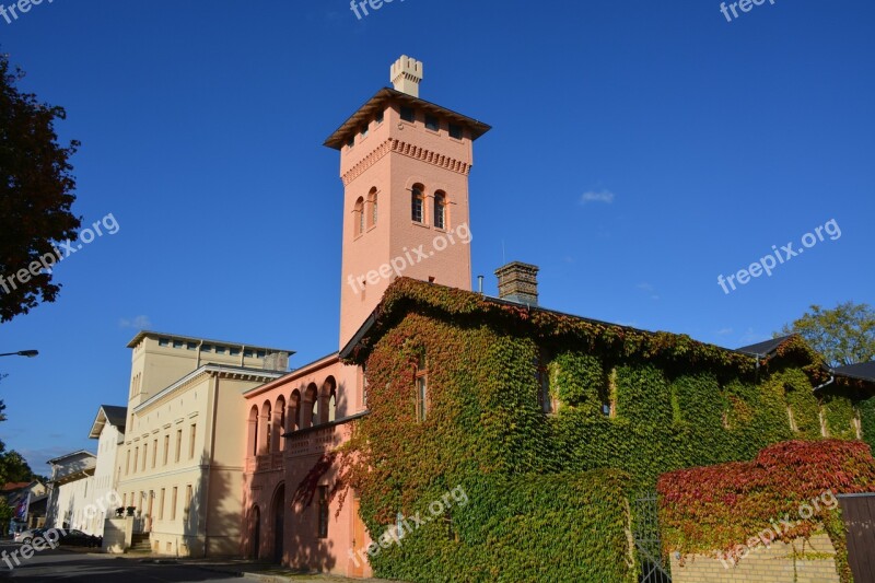 Potsdam Bornstedt Sanssouci Wedding Free Photos