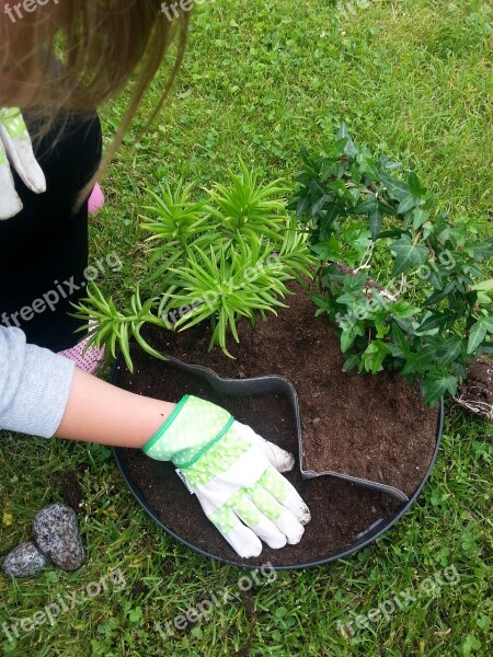 Garden Plant Flower Summer Pot