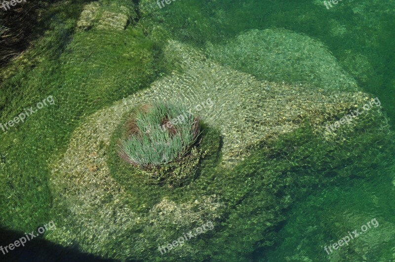 Basin Underwater Vegetation Green Blue Nature