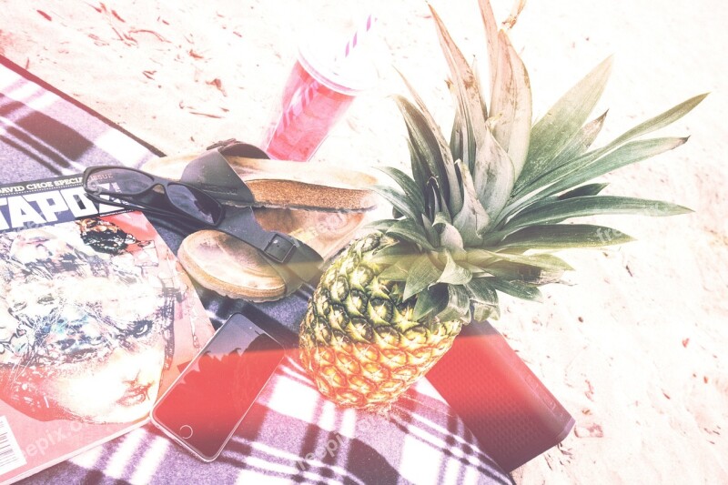 Picnic Beach Pineapple Glasses Shoes