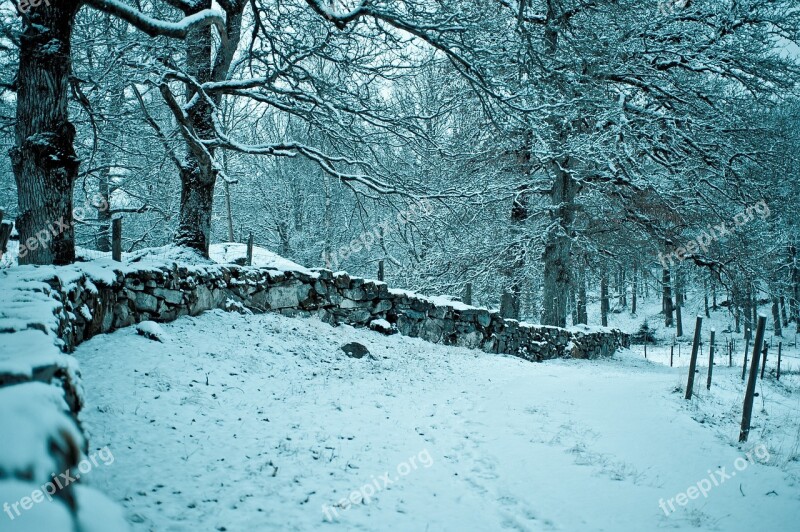 Winter The Garden Farm Snow Free Photos