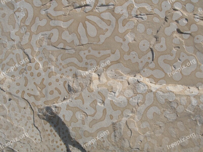 Rock Pattern Design Stone Red Rock Canyon