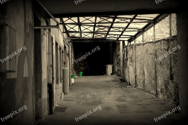 Hall Fir Tree Bleak Free Photos