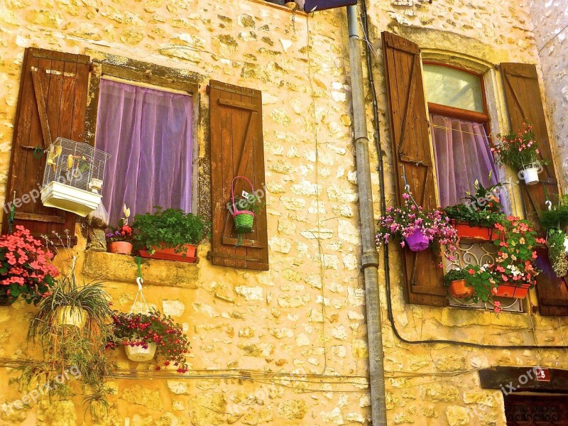 Window Wall Exterior Colourful Flowers