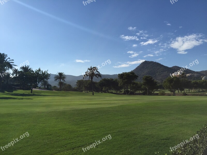 Golf Course Hills Spain Golf Course Landscape Tree