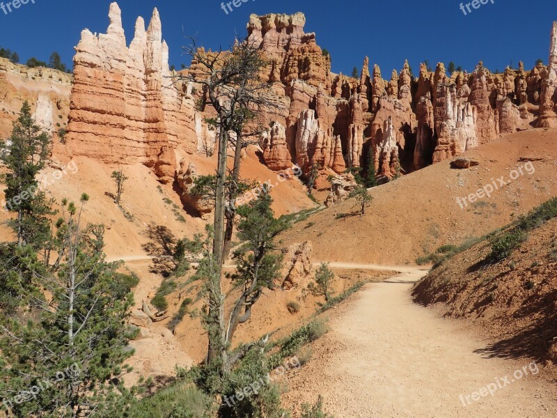 Bryce Hoodoos Sandstone Southwest Landscape