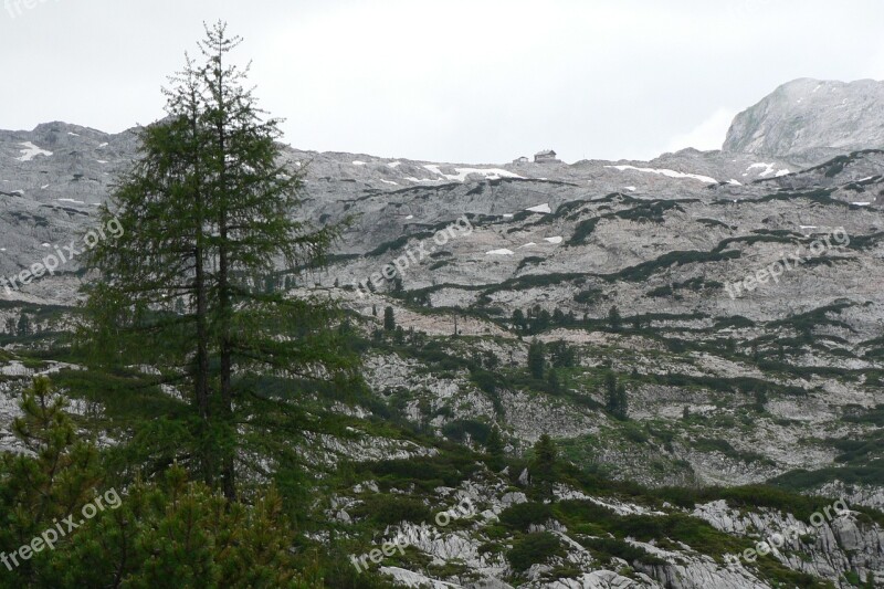 Steinernes Meer Cottage Mountains Trees Austria