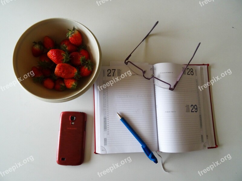 Strawberries Glasses Ball Pen Agenda Work