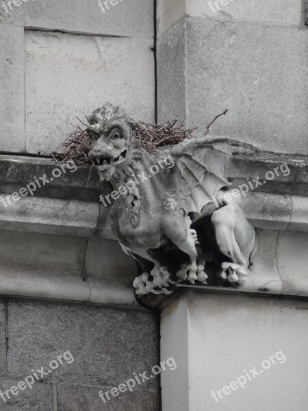 Gargouille Gargoyle Nest Stone Figure Church Facade