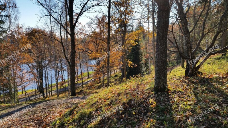 Finnish Spring Park Nature Bright