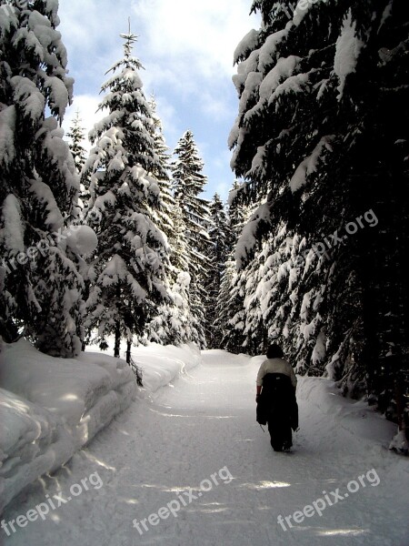 Winter Hiking Snow Winter Hiking Trail Sonnenburg