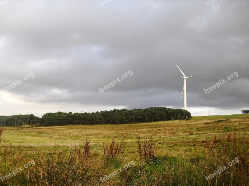 Wind Turbine Woods Field Free Photos