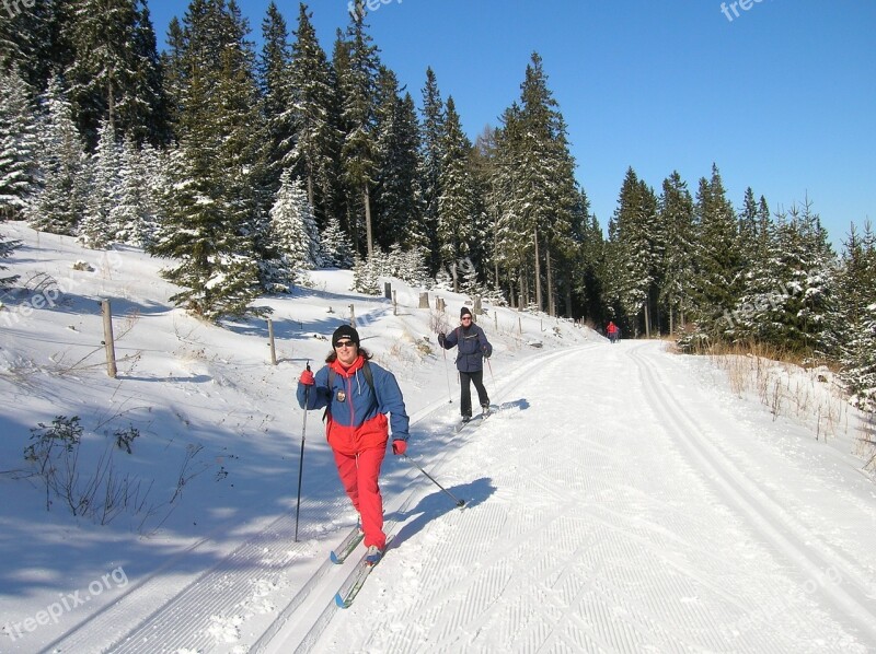 Austria Panoramaloipe Skis Winter Mountains