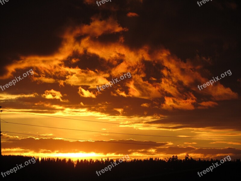 Nature Sunset Sunset Sky Evening Summer