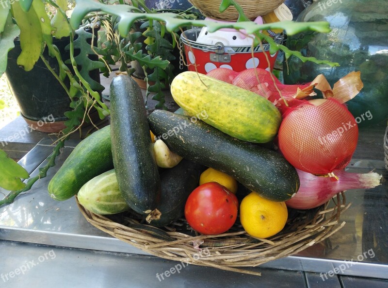 Cucumber Tomato Courgette Healthy Vegetables