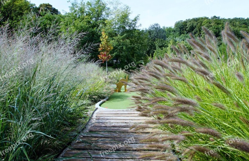 Miniature Golf Grasses Post Game Sport