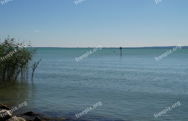 Lake Balaton Blue Reed Shallow