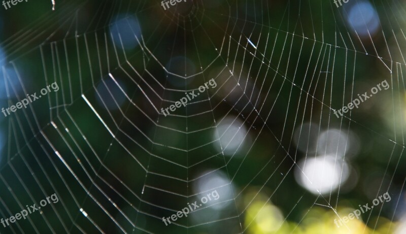 Cobweb Web Weave Structure Background