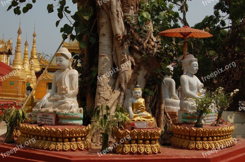 Buddha Schwedaggon Burma Free Photos