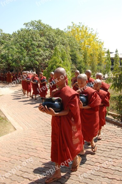 Monk Schwedaggon Burma Free Photos