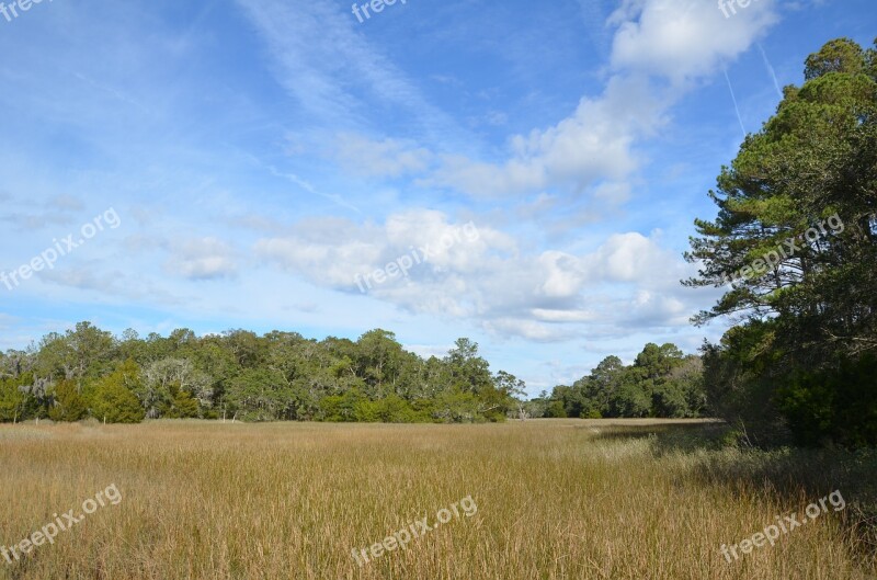 Field Park Forest Marsh Coastal