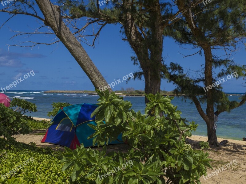 Beach Camp Camping Sea Tree