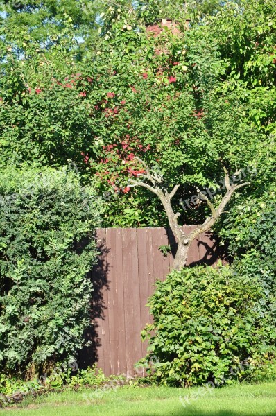 Garden Gateway Gate The Entrance To The Garden Free Photos