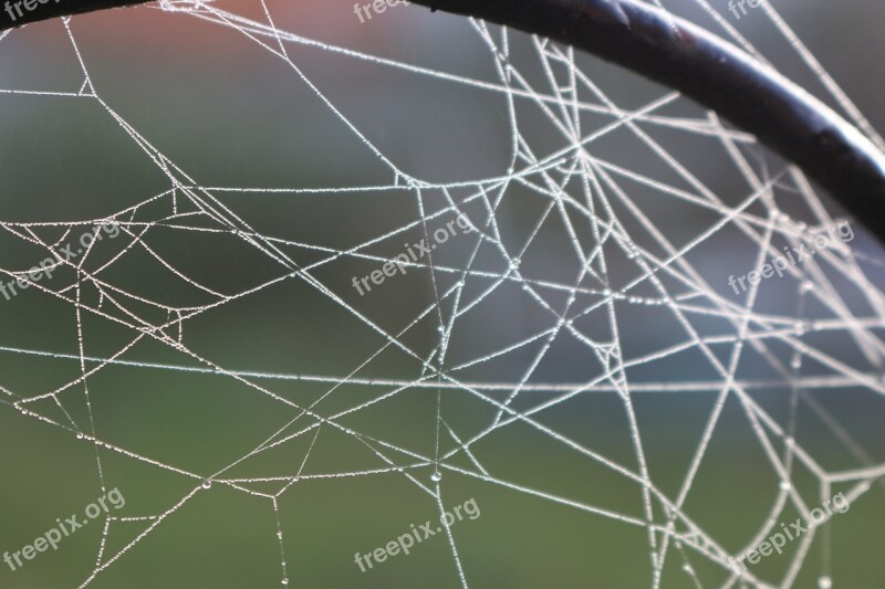 Autumn Cobweb Metal Cobwebs Dewdrop