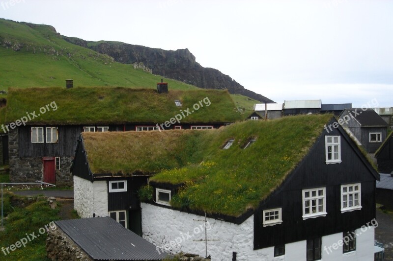 Grass Faroe Islands Free Photos