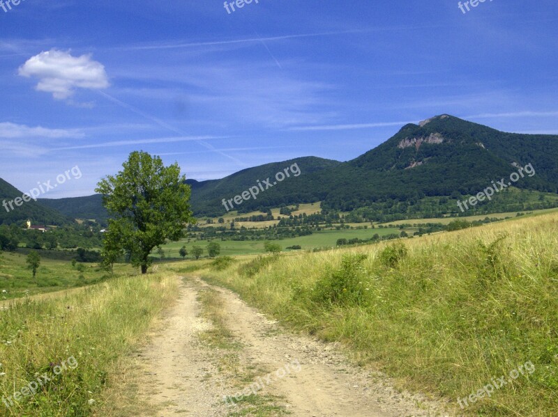 Slovakia Strážov Zliechov Mountains Meadow