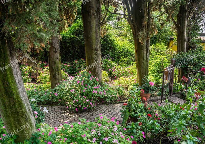 Garden Flowers Forest Nature Green