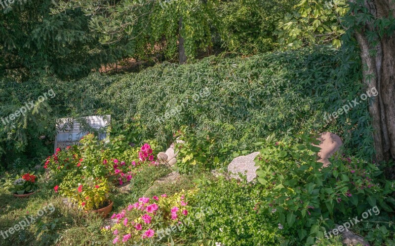 Garden Flowers Rocks Nature Isola Del Garda