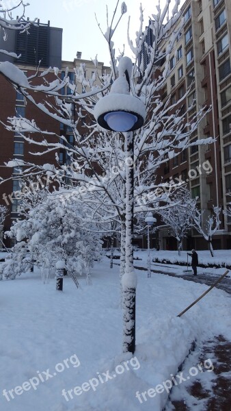 Street Lamp Community Snow Apartment Building Winter