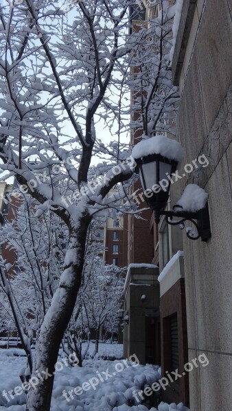 Street Lamp Community Snow Winter Street