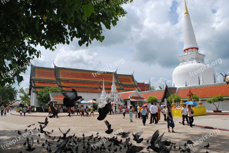 Wat Phra Mahathat Thai Temple Temple Pigeons Tourists